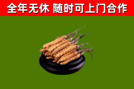 闻喜县烟酒回收冬虫夏草.jpg