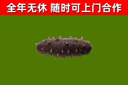 闻喜县烟酒回收干海参.jpg